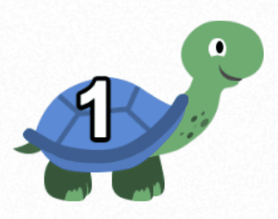 Big welcome to the Tortoise